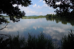 DSCN0949