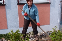 Schulgarten