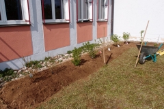 Schulgarten