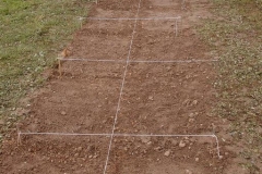 Schulgarten